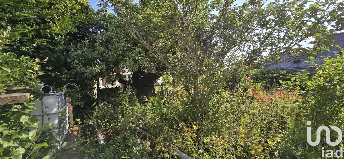 Photo 6 - Terrain à SAINT-PIERRE-QUIBERON