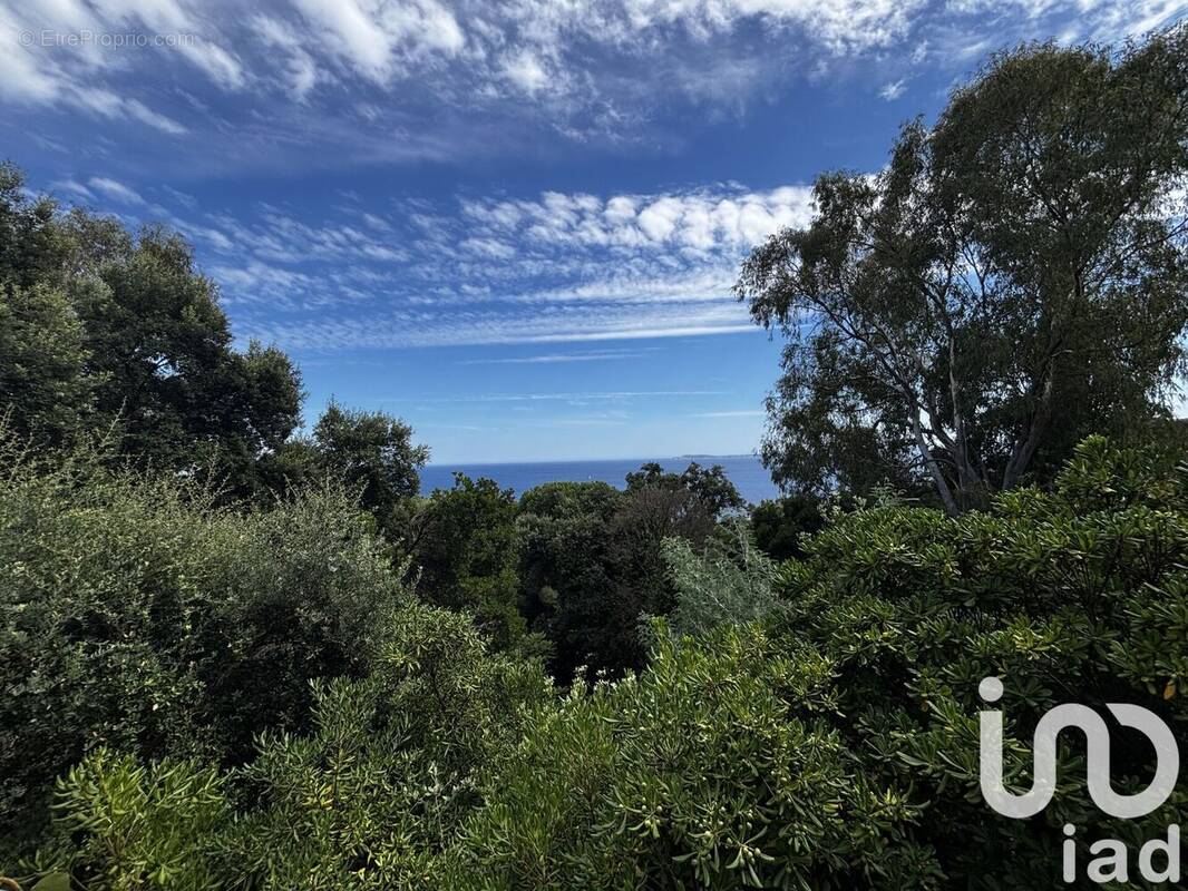 Photo 1 - Maison à RAYOL-CANADEL-SUR-MER