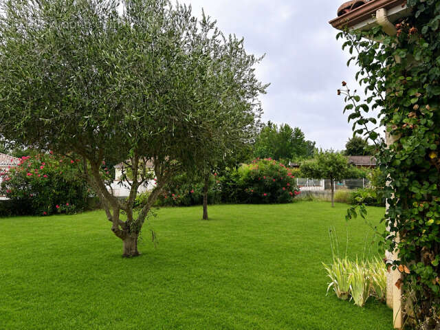 Maison familiale au calme - photo 2