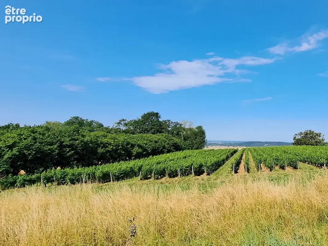 Bâtisse en pierre à réhabiliter, vue sur le vignoble Jurassien à Ménétru-Le-Vignoble 39210 - photo 5