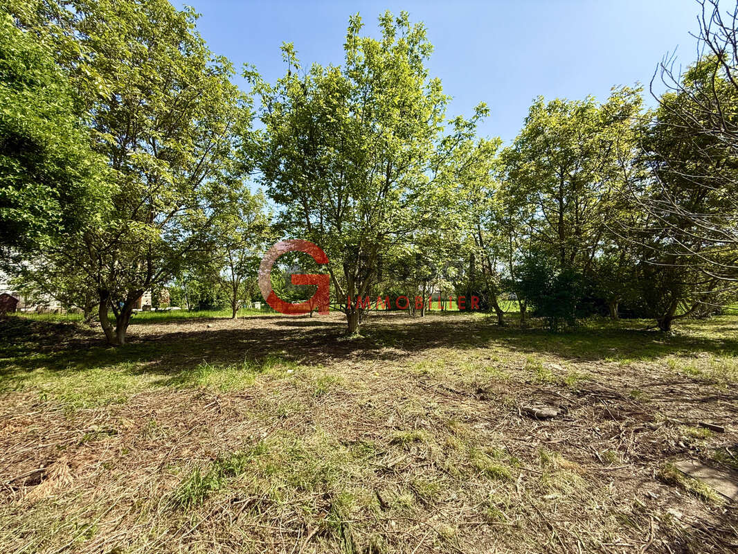 Terrain à SELESTAT