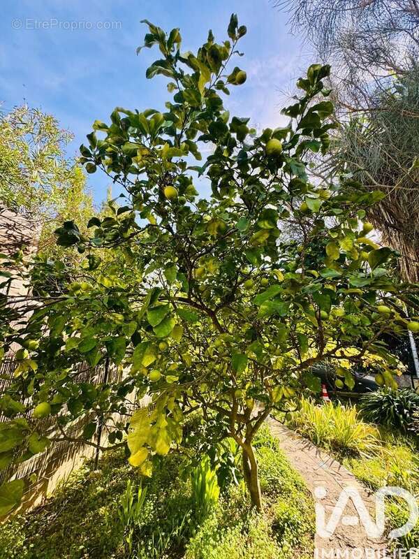 Photo 8 - Appartement à VALLAURIS