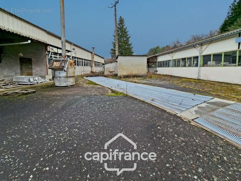 Commerce à CELLES-SUR-DUROLLE