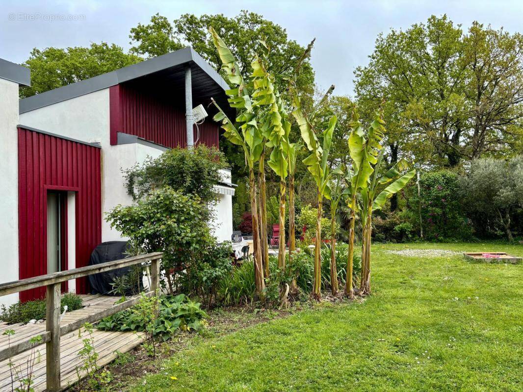 Maison à CLOHARS-CARNOET