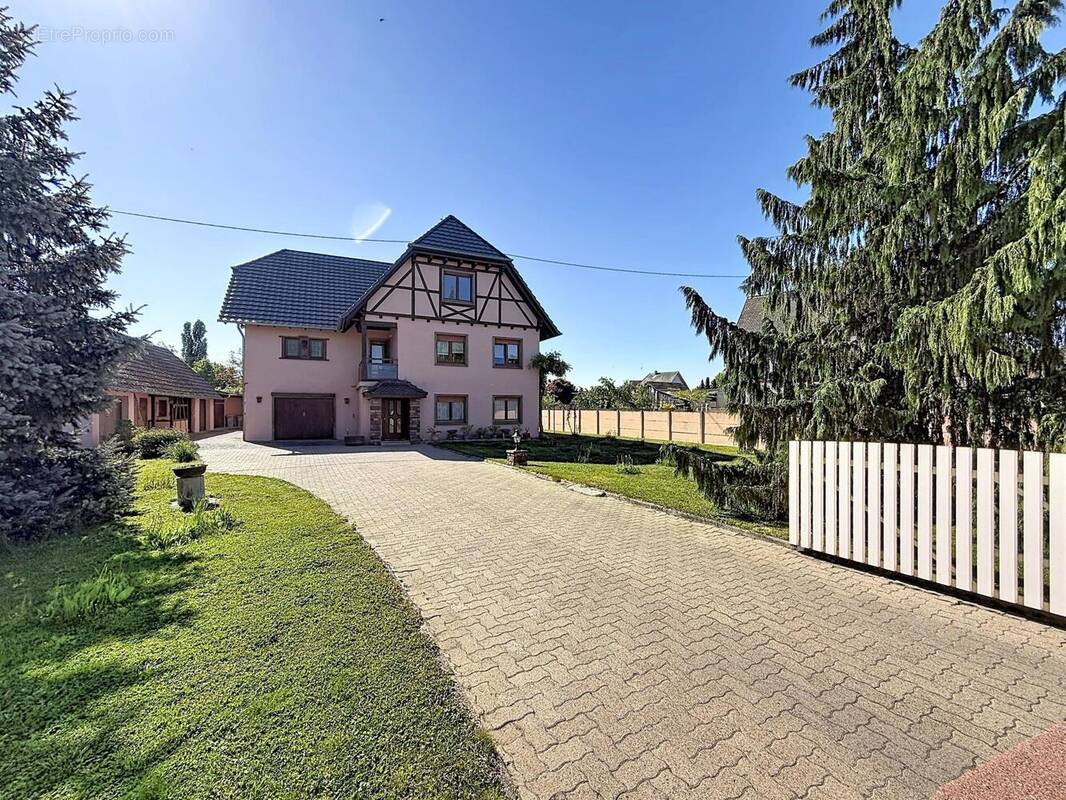 Photo 1 - Maison à DAUBENSAND