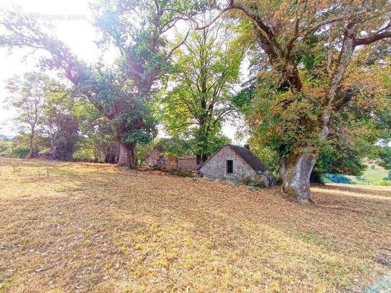 Maison à SAINT-MARTIN-VALMEROUX