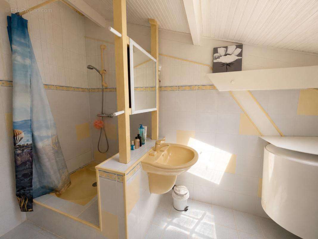 Maison 194 m² à Saint-Sylvestre  - photo 15
