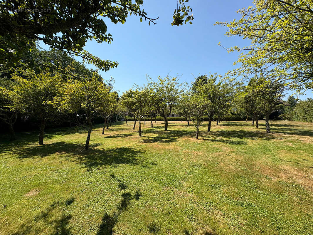 Propriété à vendre - Goderville - 260 m² - 5 chambres -  Vie Plain-pied - Dépendance - Terrain 7000 m² - photo 10