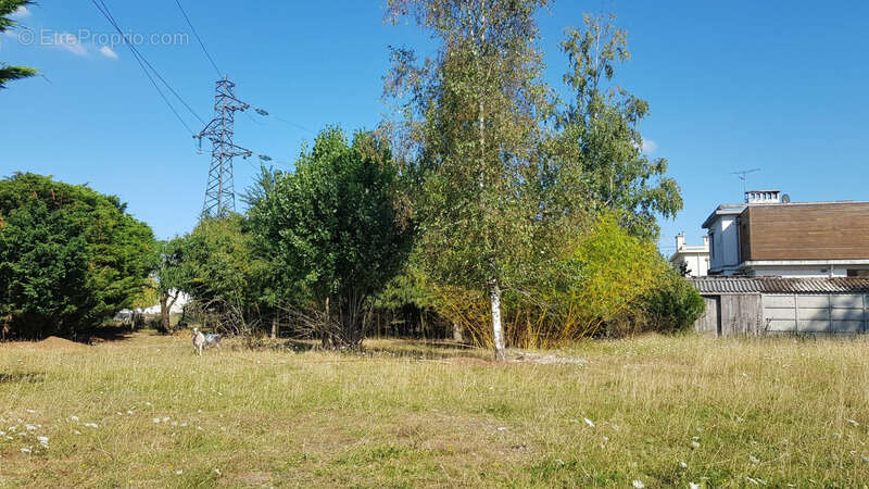 Terrain à VILLEPERDUE