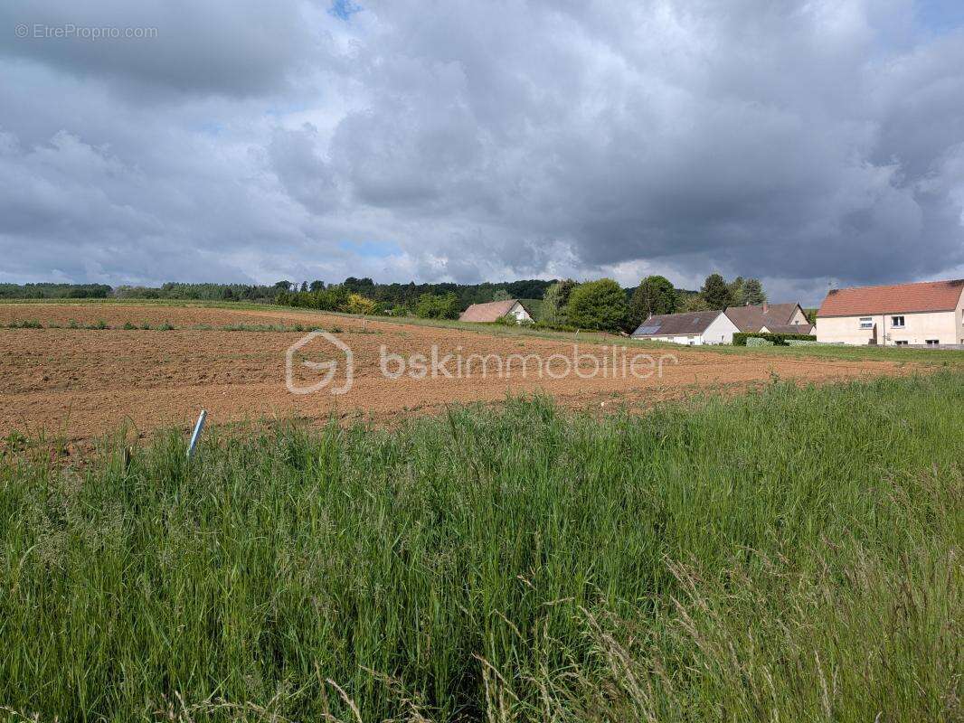 Terrain Agricole à Grauves - photo 7