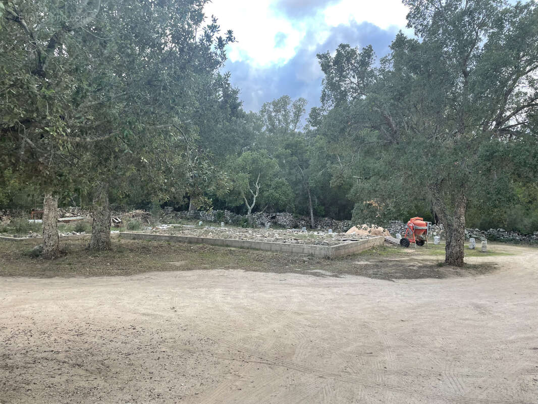 Maison à PORTO-VECCHIO