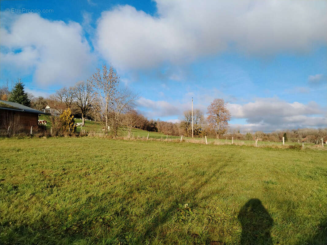 Terrain à SAINTE-ANNE