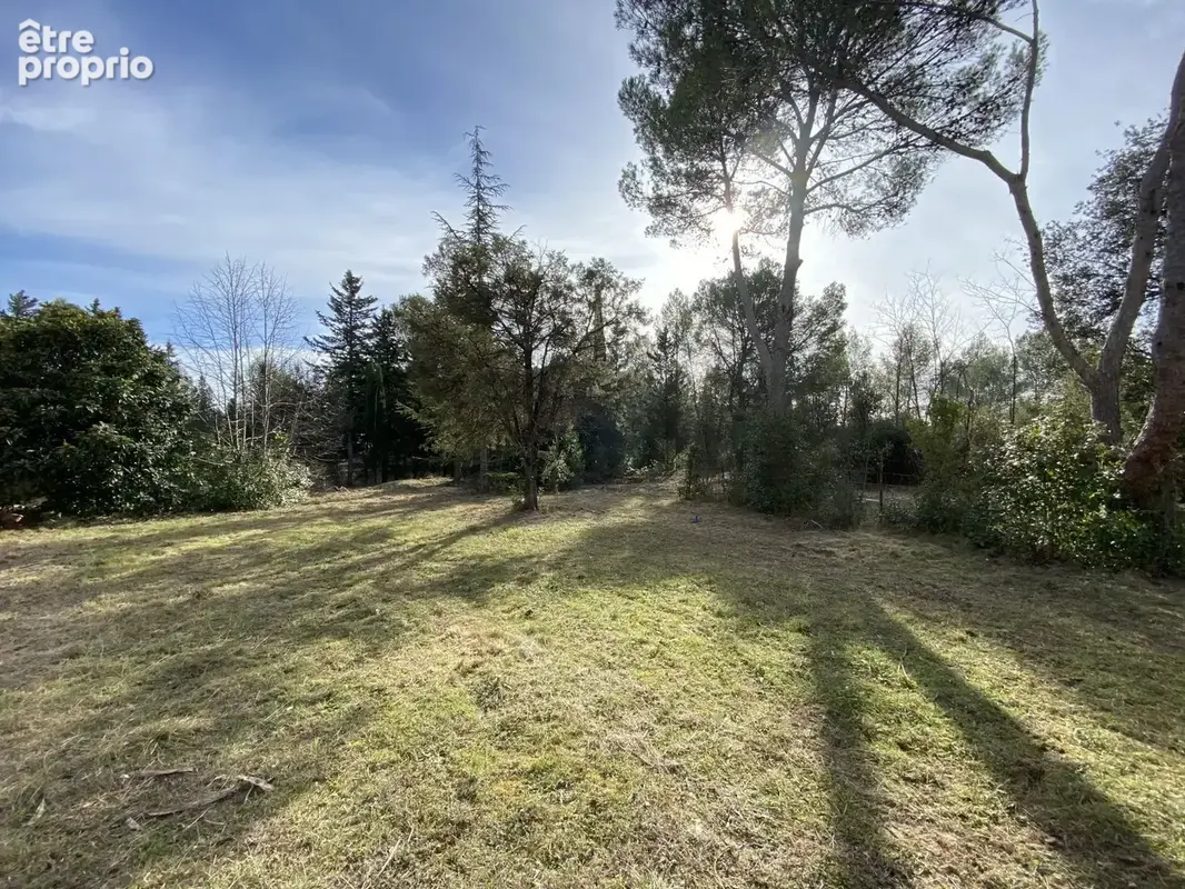 Terrain à LE TRIADOU