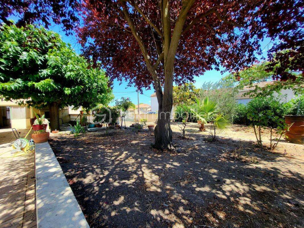 Maison à CAZOULS-LES-BEZIERS