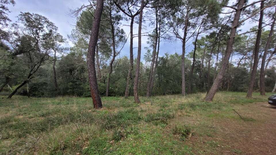 Terrain 344 m² à Suze-La-Rousse  - photo 2