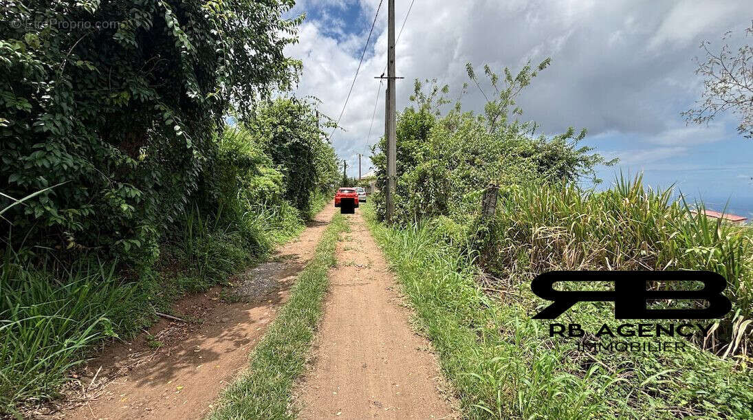 Terrain à LE CARBET