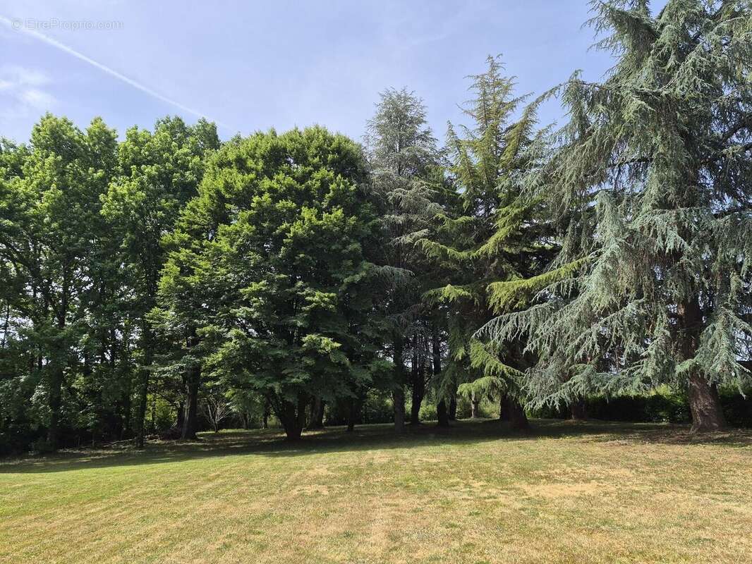 À vendre, proche de Trie-sur-Baïse (Hautes Pyrénées): Villa 5 chambres avec sous-sol, garage et piscine, nichée au cœur d'un jar - photo 5