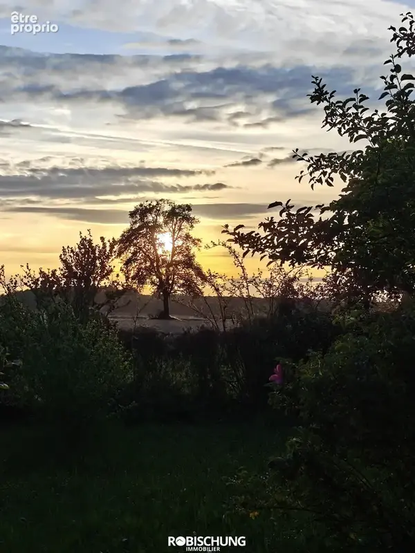 BIEDERTHAL : Maison individuelle avec jardin et vue dégagée - photo 6