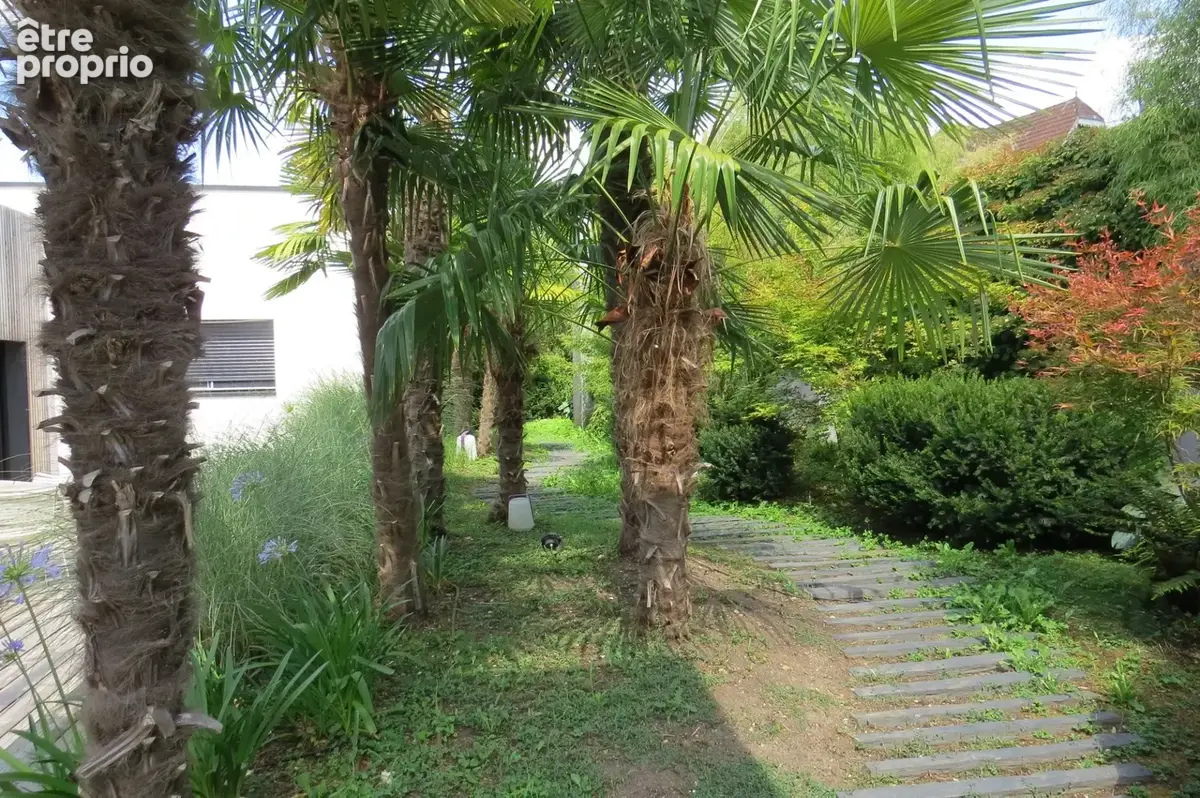 Maison contemporaine  annéà 2011 A decouvrir à saint cyr sur loire avec piscine .pergola .et un jardin magnifique  .grand  garag - photo 6
