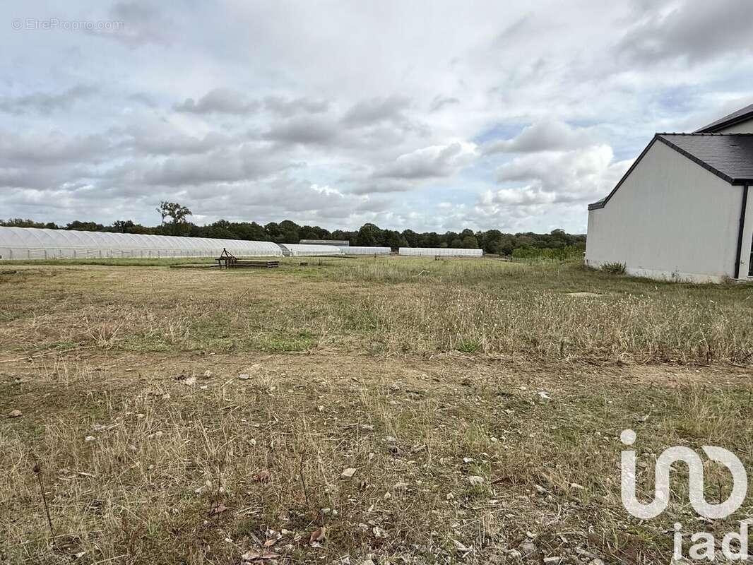 Photo 4 - Terrain à CARQUEFOU