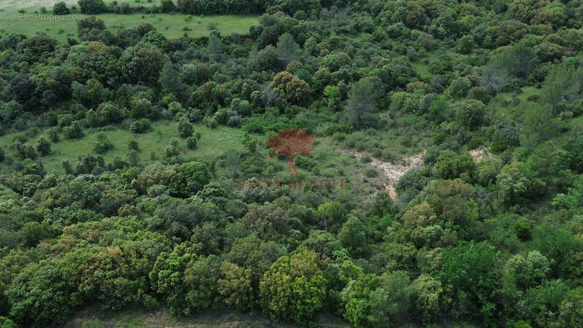 Terrain à PUECHABON