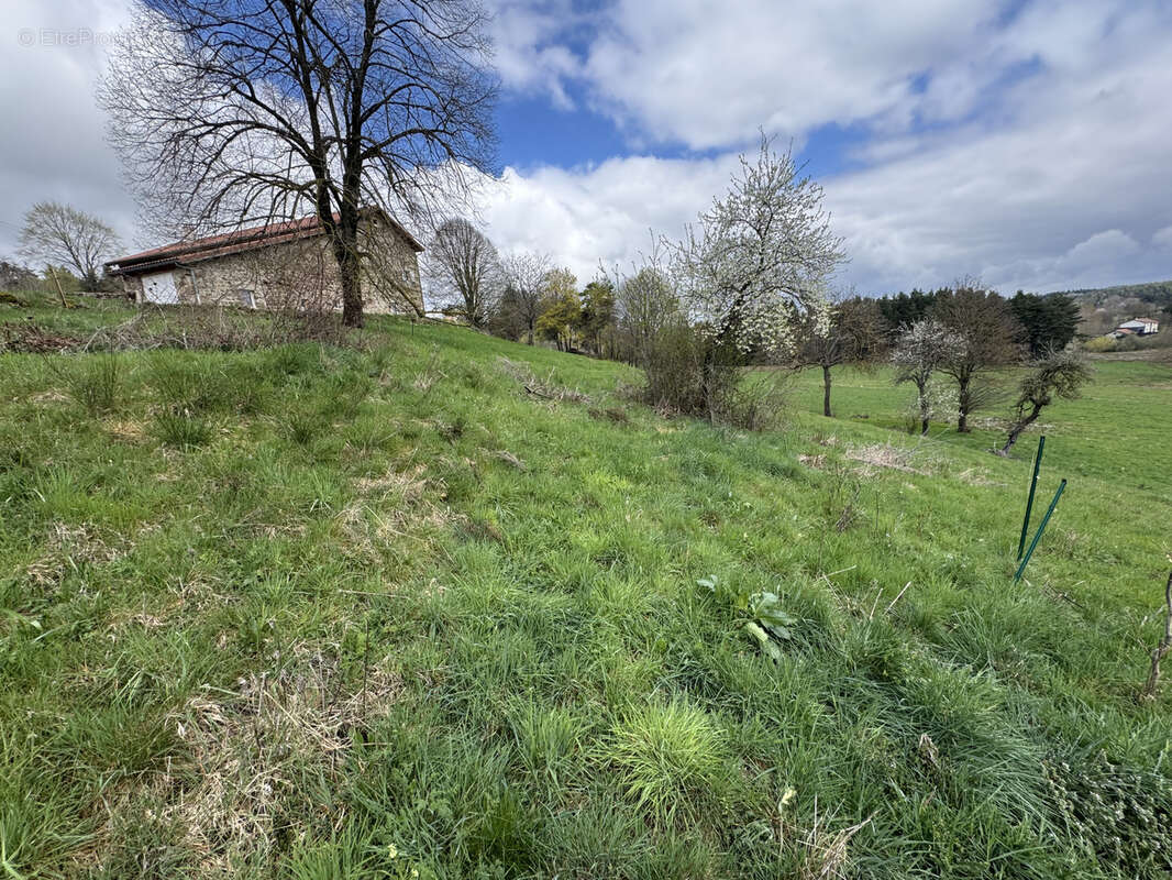 Terrain à LAPTE