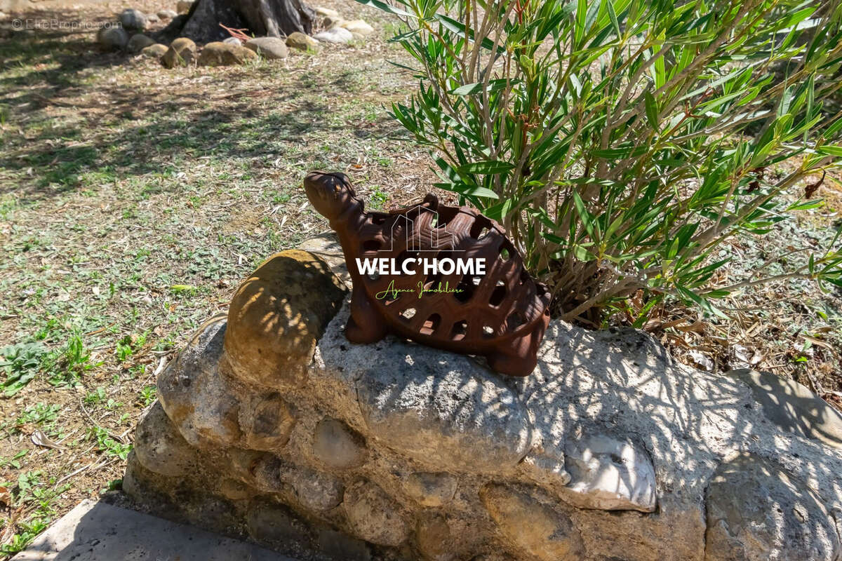 Maison à MONTAGNAC-MONTPEZAT