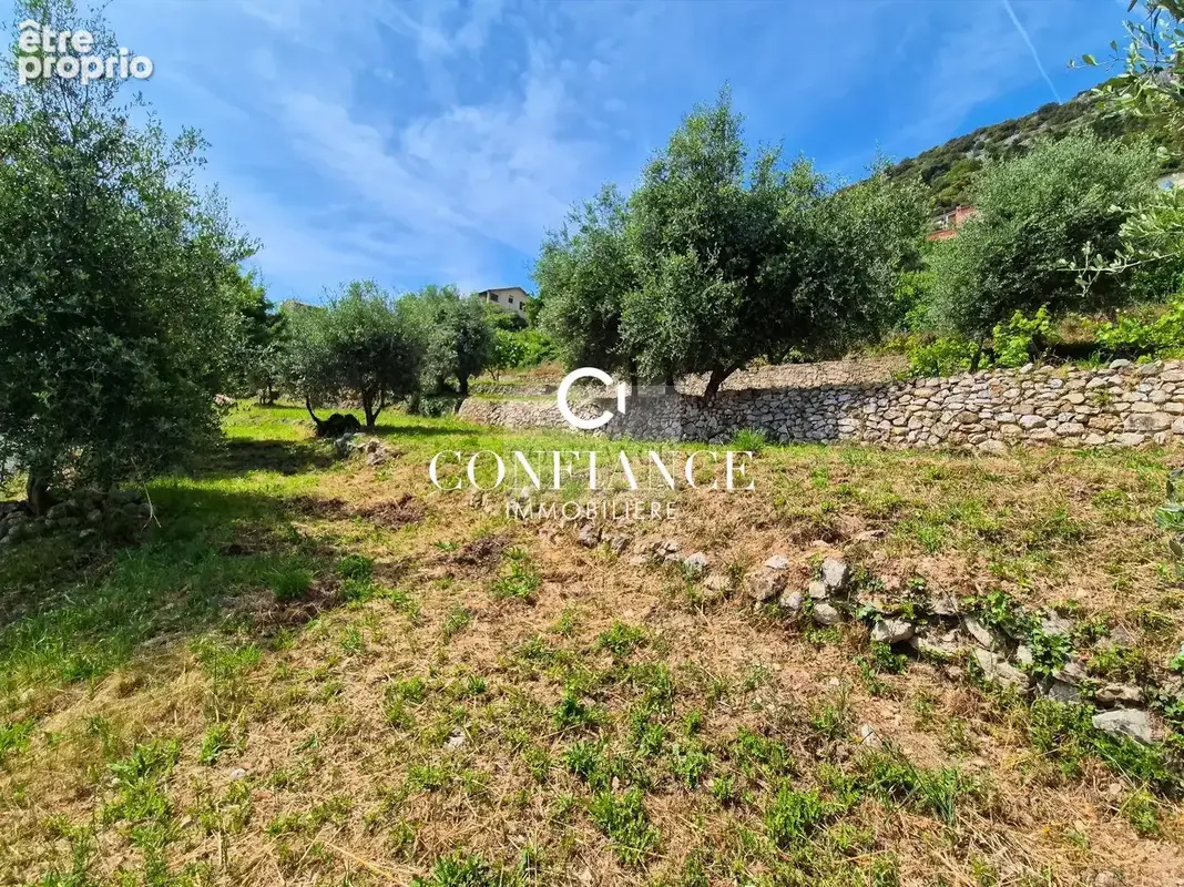 Terrain 1 715 m² à vendre à Chateauneuf-Villevieille (06390) - photo 7