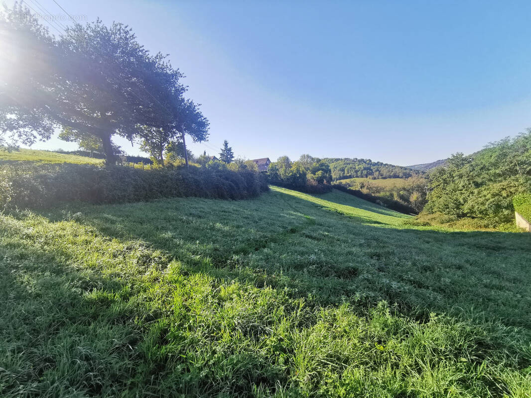 Terrain à CONQUES