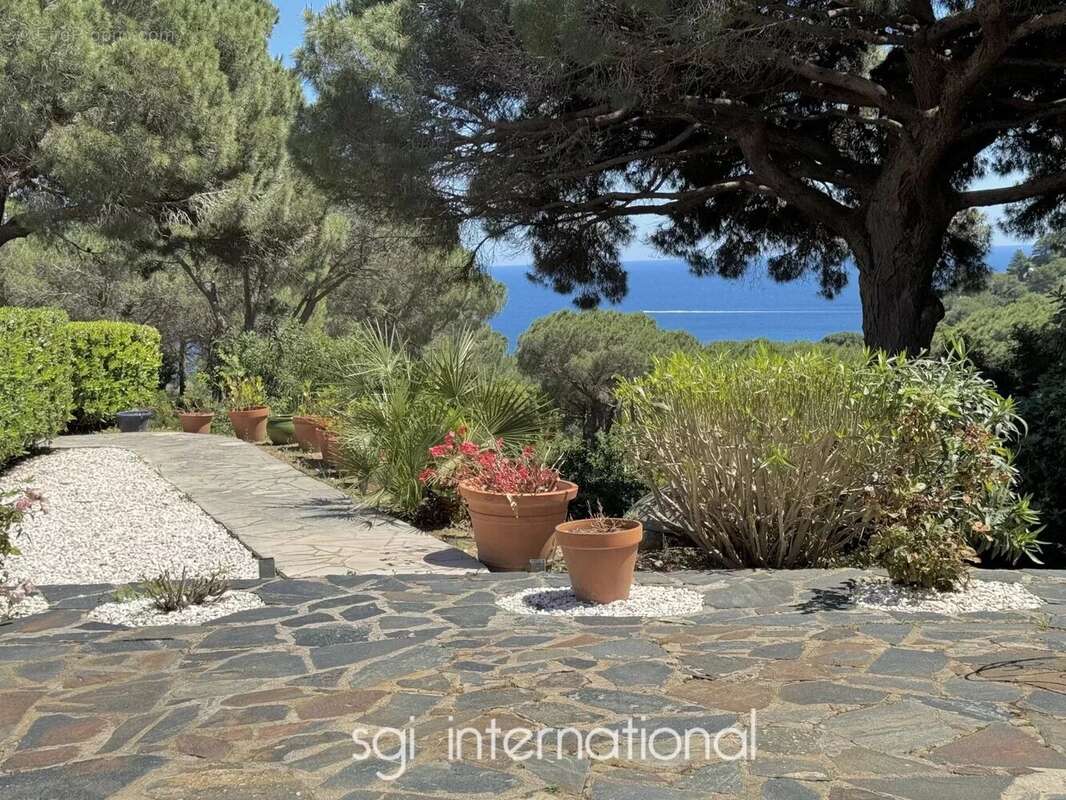 Maison à RAMATUELLE