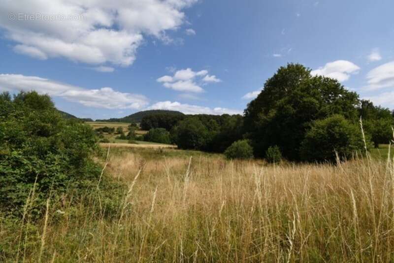 Terrain à LA CHAPELLE-DEVANT-BRUYERES