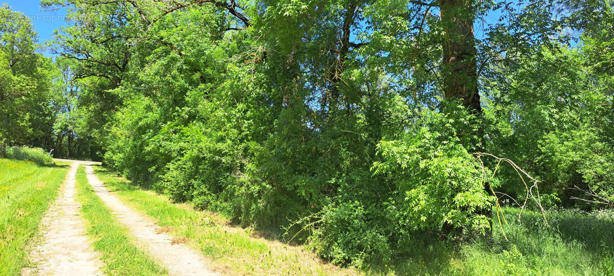 Terrain à PUYLAROQUE