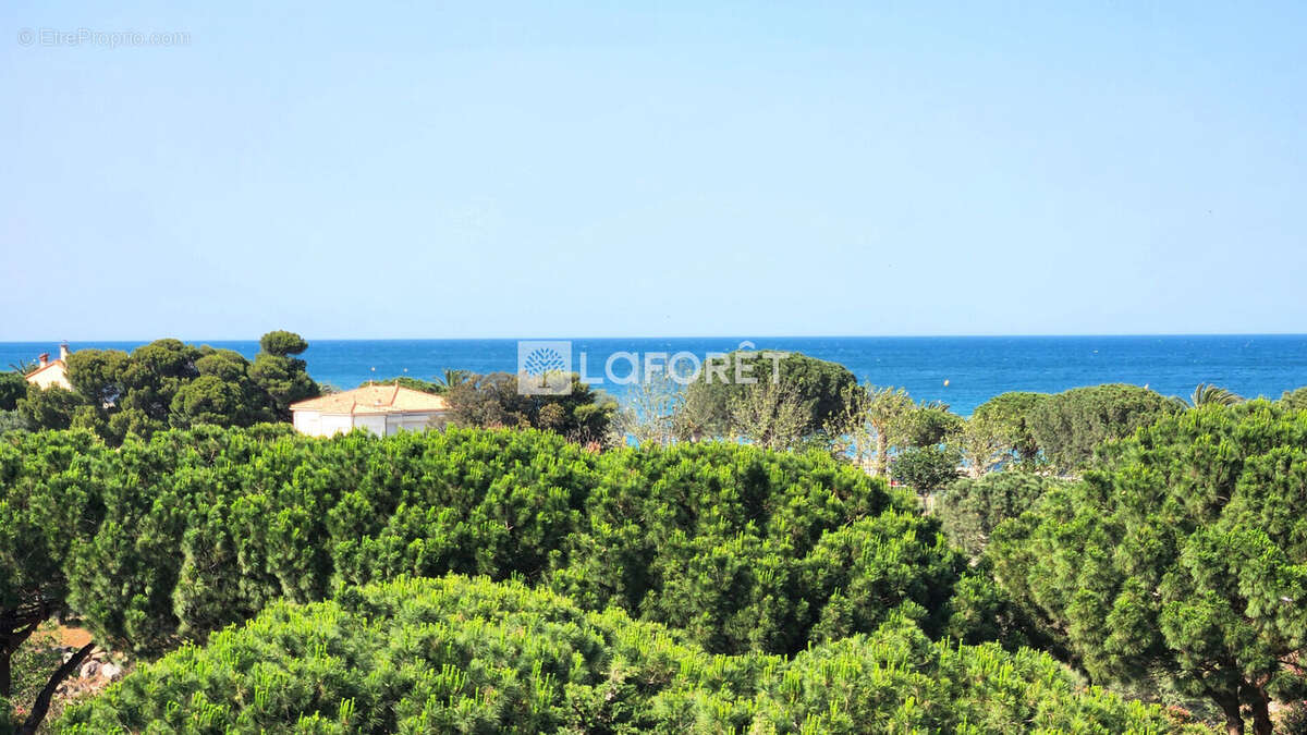Appartement à ARGELES-SUR-MER
