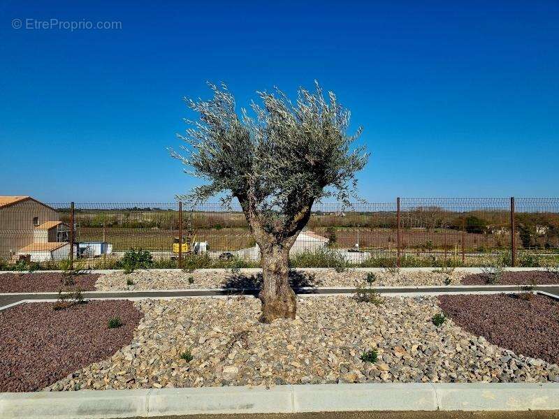 Terrain 352 m² à Servian  - photo 5