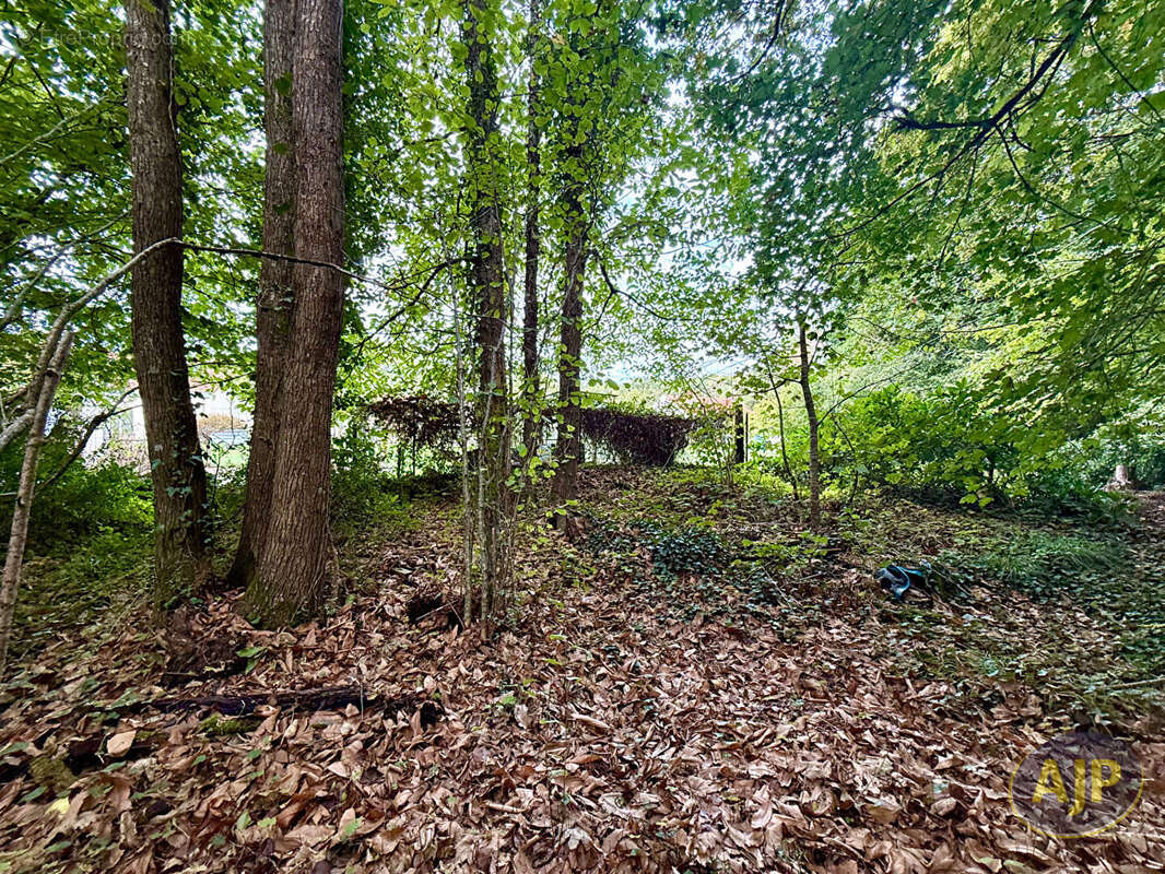 Maison à SAINT-JEAN-DE-BOISEAU