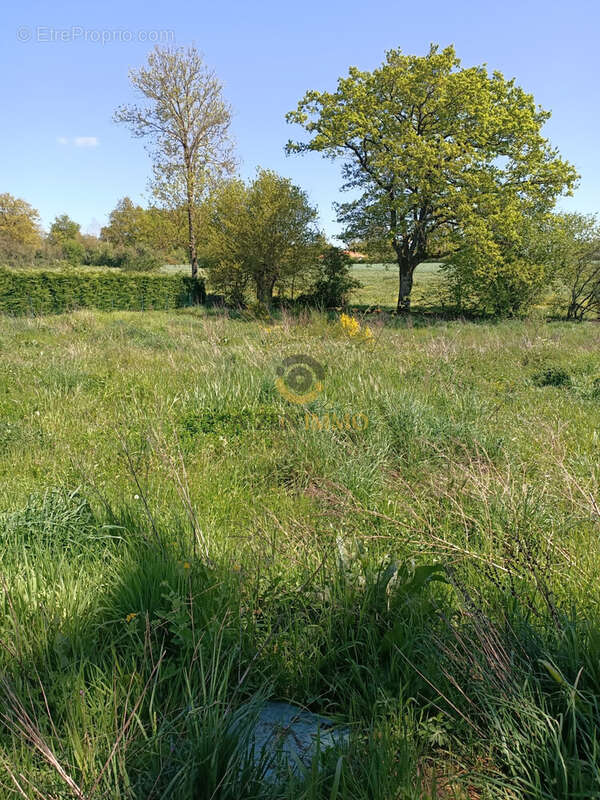 Terrain à LA CHAPELLE-BERTRAND