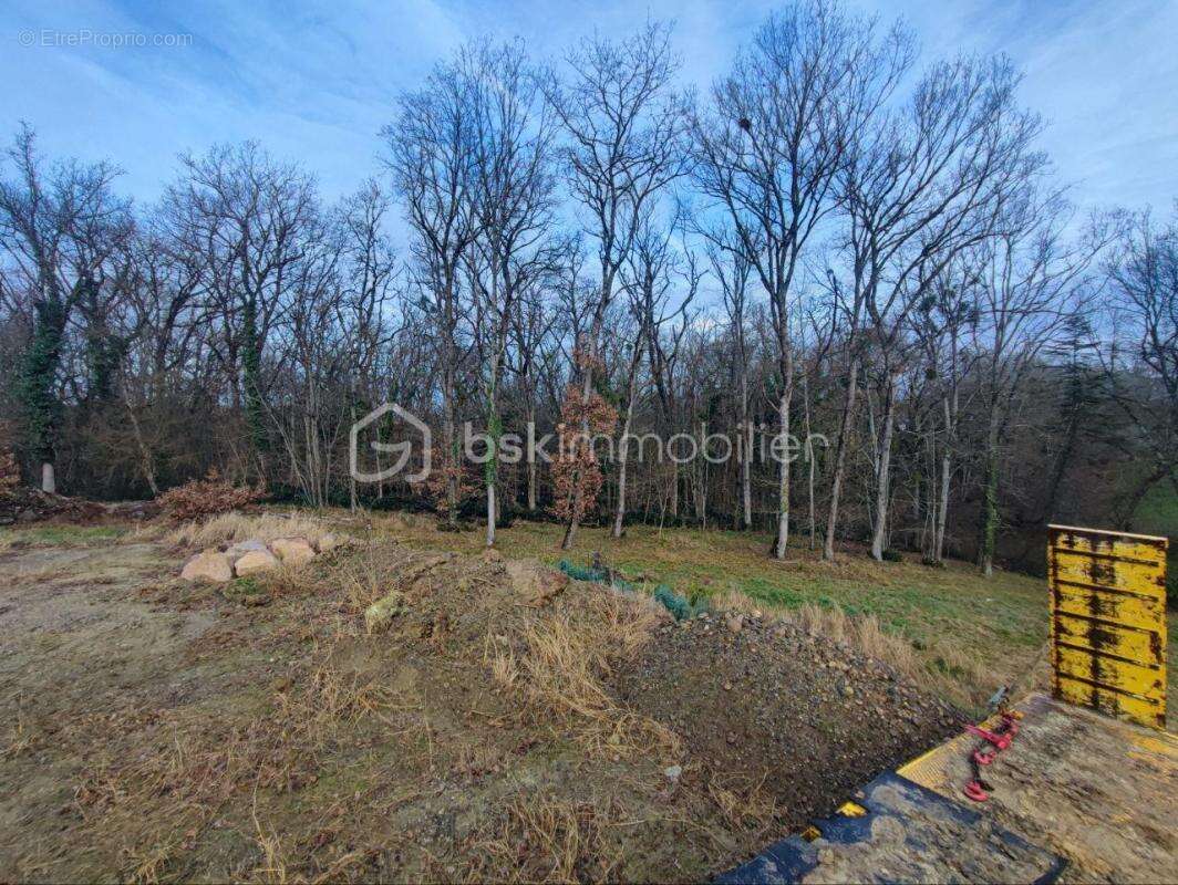 Terrain à bâtir 1 555 m² – Saint-Jean – Cadre boisé - photo 4