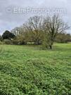 Terrain à CHAMPAGNE-VIGNY