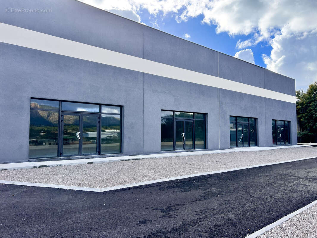 Commerce à SARROLA-CARCOPINO