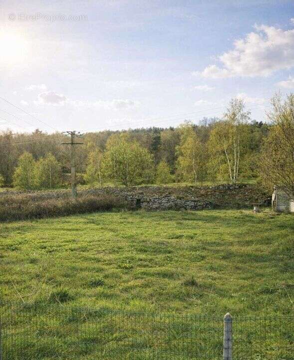Terrain à LE PERTUIS