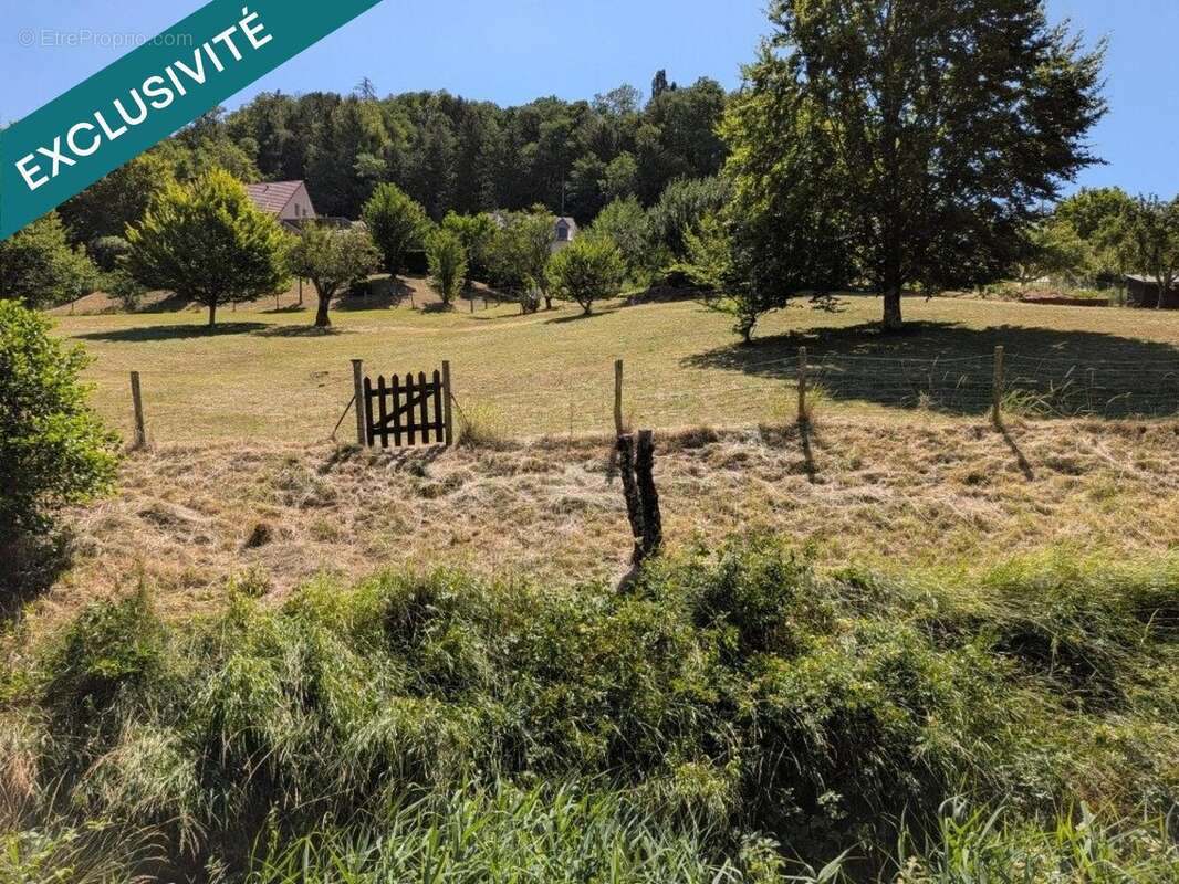 Terrain 3348 m² à Salins-Les-Bains  - photo 2