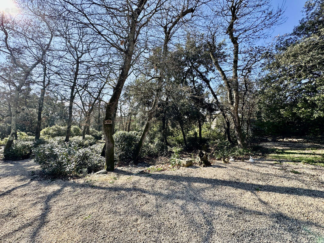 Maison à AUBUSSARGUES