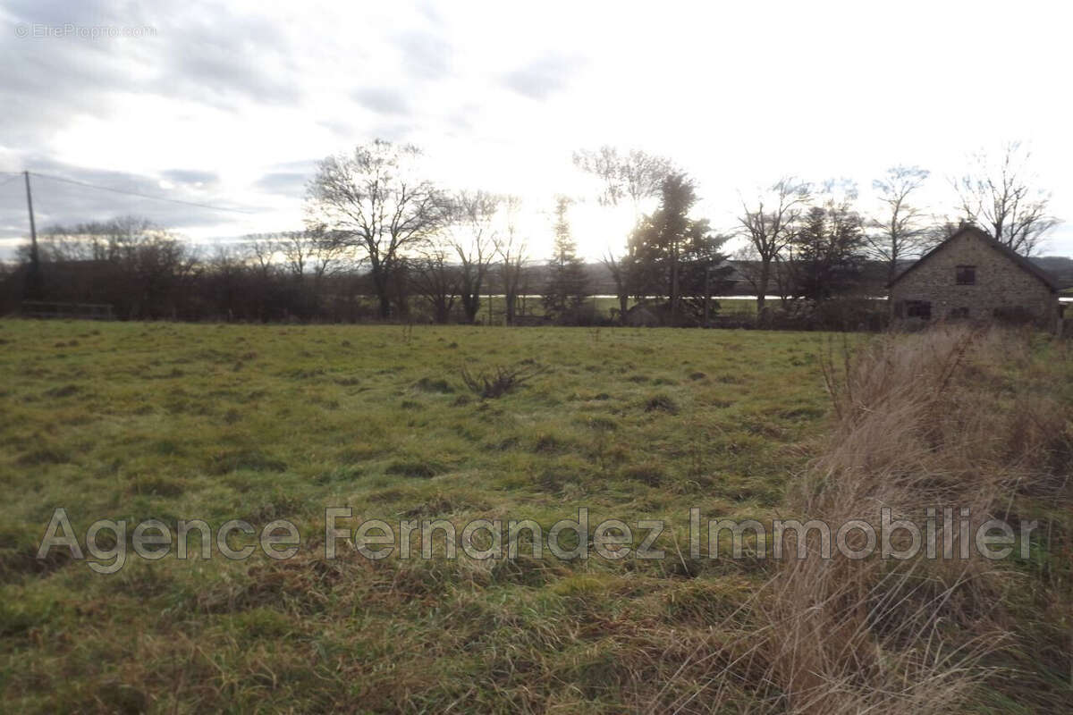 Terrain 2209 m² à Baugy  - photo 2