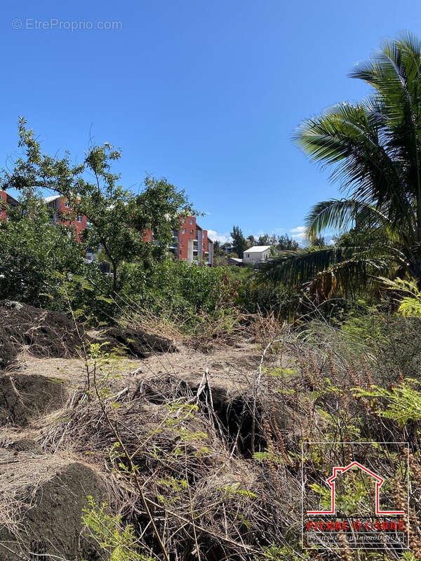 Terrain à SAINT-PIERRE