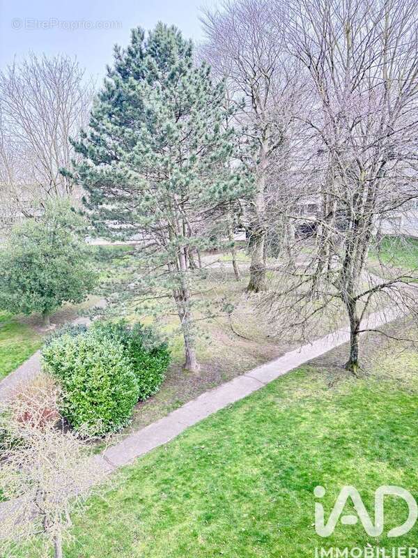 Photo 7 - Appartement à TOURCOING