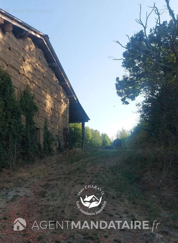 Terrain constructible 1 292 m² + grange 140 m² – Orléat - photo 7