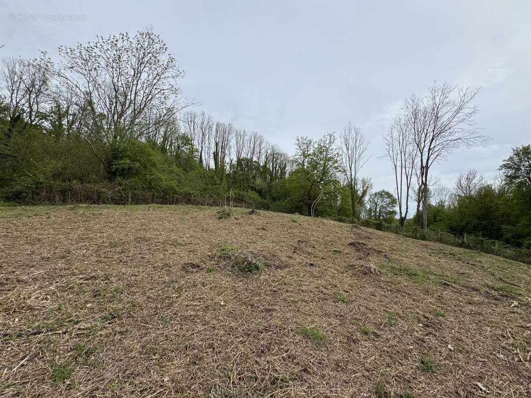 Terrain 1673 m² à Le Mesnil-Simon  - photo 5