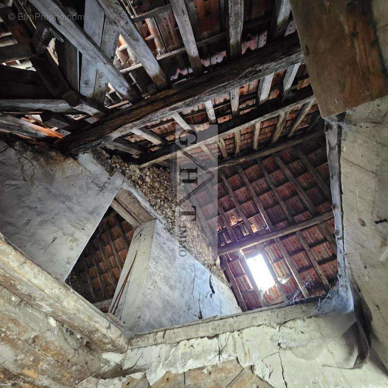 Commerce à OZOIR-LA-FERRIERE