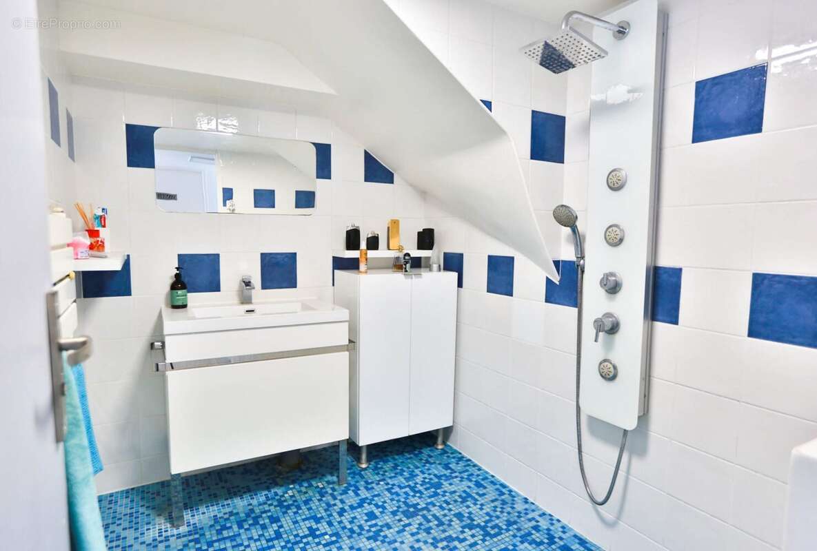 salle d'eau sous sol - Maison à GOURNAY-SUR-MARNE