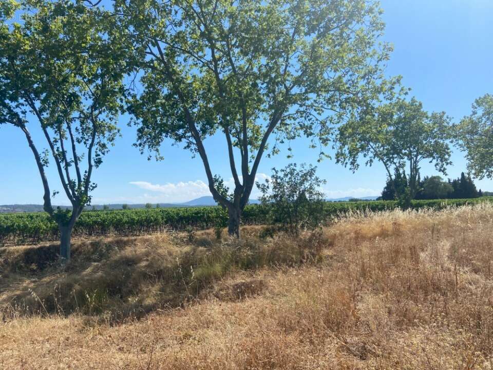 Terrain à OLONZAC